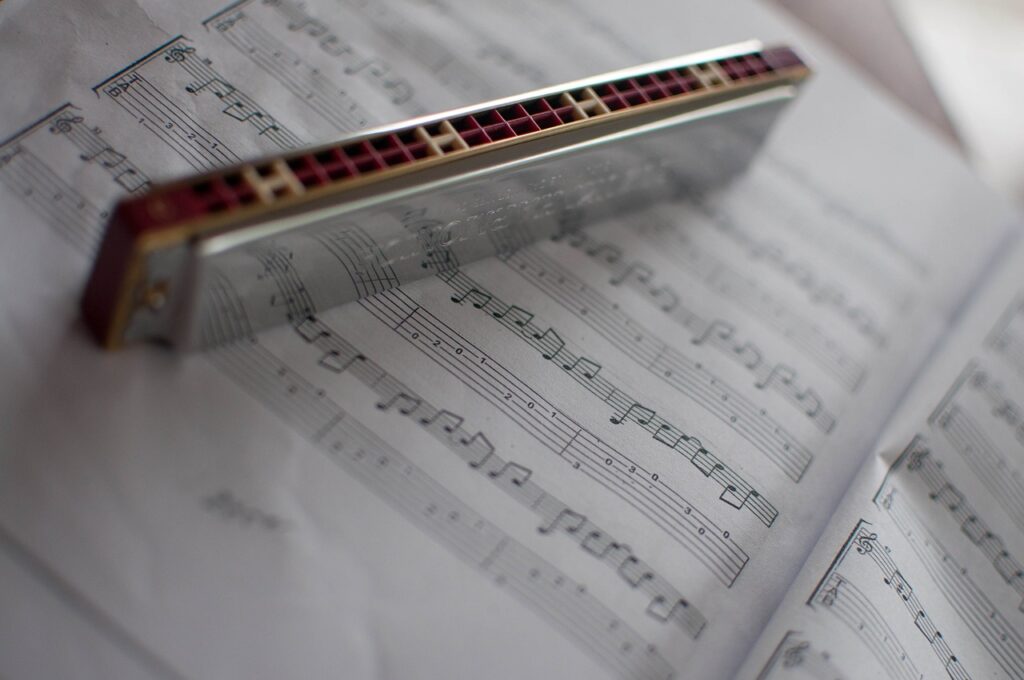 Amazon.co.jp: ゆず10周年 500個限定 ハーモニカ : 楽器・音響機器